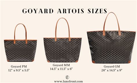 Goyard Artois (PM, MM & GM) – Complete Guide and Review .